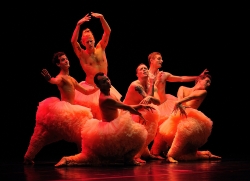 "Tutu"