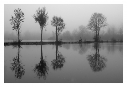Un matin dans la brume