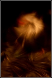 Abstract