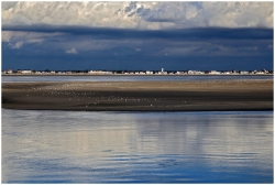 Baie de Somme en novembre