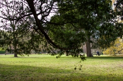Essai au parc...
