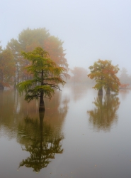 Etang de Boulieu