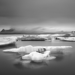 Ice land