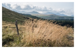 Lumière d'Auvergne