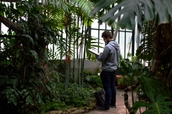 Les artistes du jardin