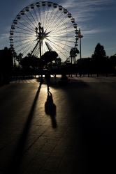 La roue