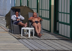 Bouge pas...on nous observe!
