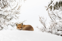 Rencontre magique