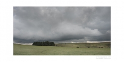 Bout d'Aubrac...
