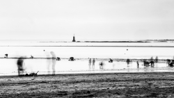 Pêche a pied à la Baule