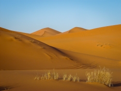 Merzouga