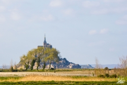 par un arbre caché