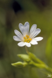 dans la nature 2