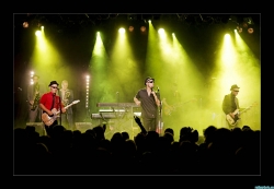 CONCERT ANIS