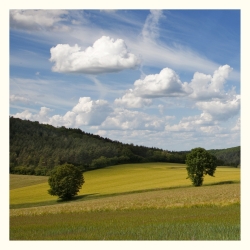 Les moutons