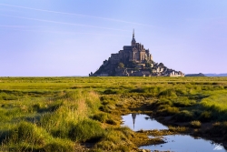 Mont