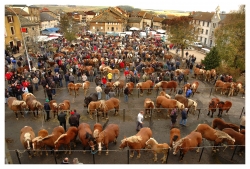 La foire aux chevaux