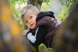 Lucas