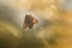 Et quand vient le soleil