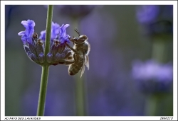 Photo inscription n°2
