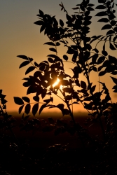 Photo d’inscription N°3 - paysage_01.JPG