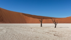 Dead Vlei (3)