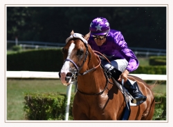Photo d’inscription N°1 - courses hippiques.jpg