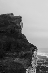 Falaise