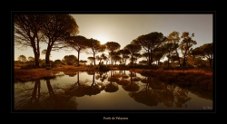Photo inscription n°1
