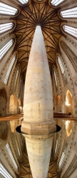 Le palmier