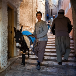 Le petit muletier de Ghardaïa