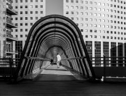 Le pont Japan Bridge