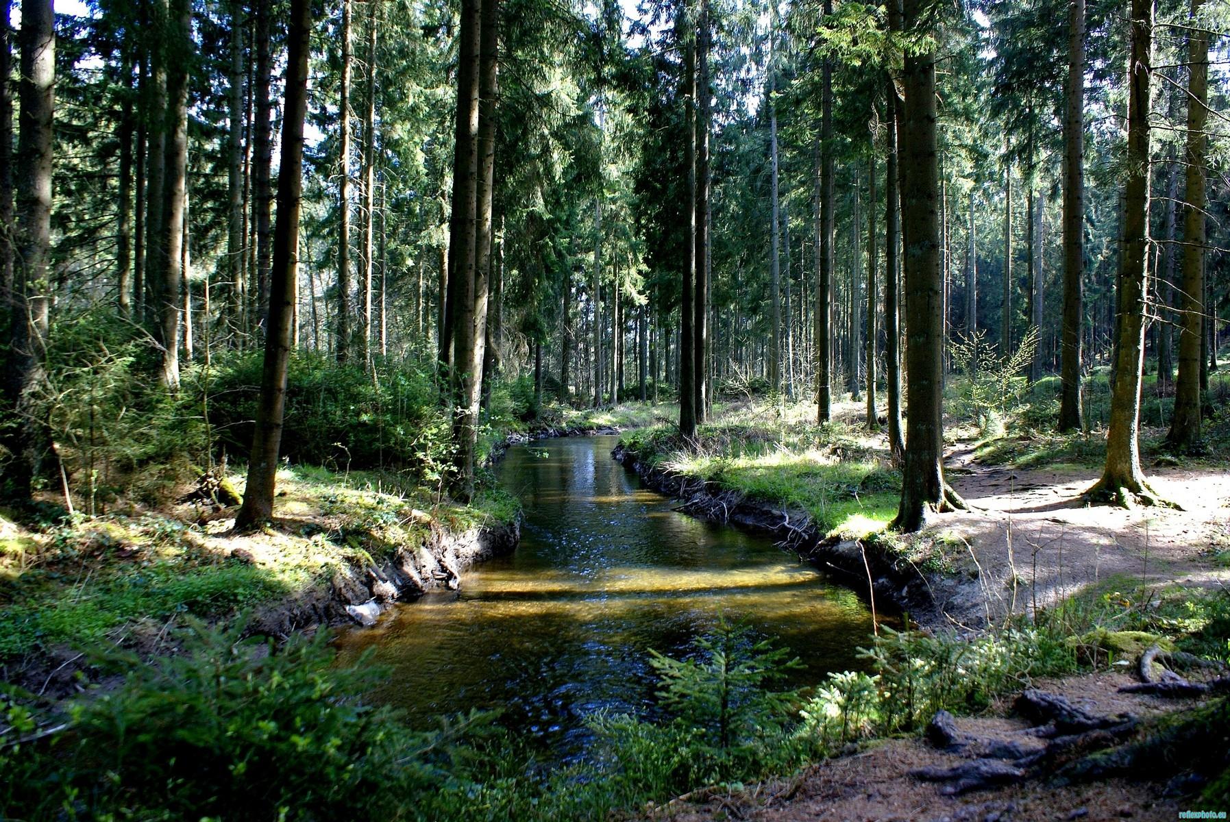 Photo d’inscription N°3 - L’Amblève à Montenau.JPG