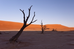 Deadvlei