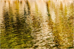 reflet automnal 01