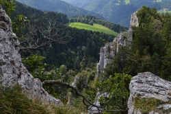 Photo d’inscription N°2 - a2.jpg