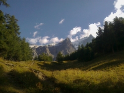 Photo d’inscription N°3 - a4.jpg