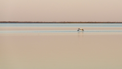 Ahhh! Mon lac à moi