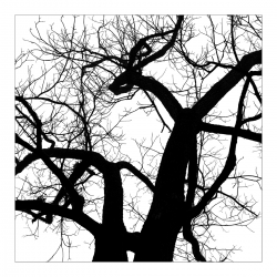 Graphisme d'hiver