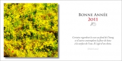 Meilleurs voeux pour 2011...