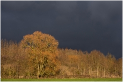 Avant la pluie ...