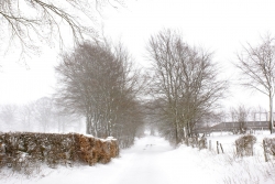 Chemin faisant...
