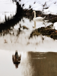 Regard croisé