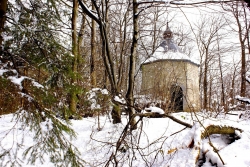 Perdu dans le bois