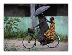 à vélo au Sri Lanka (série)
